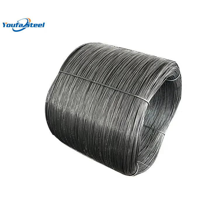 1733211021722473148437671936